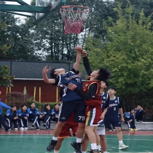 赛事动态深度观察:独特阵容视角解读第290组