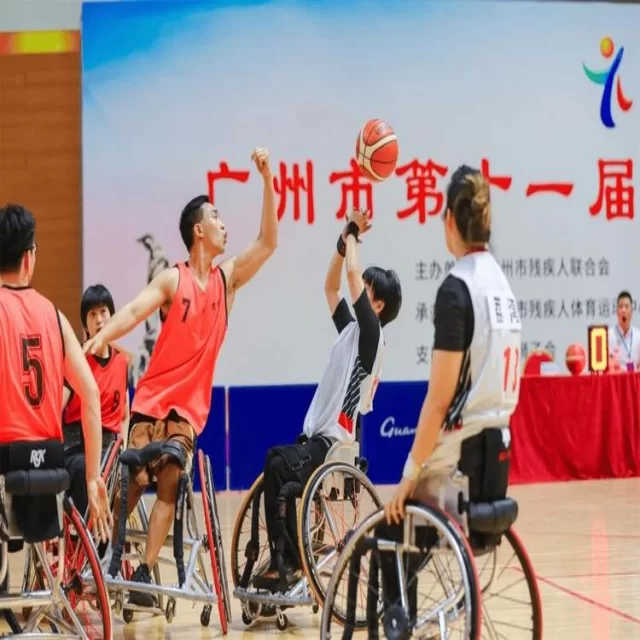 哈兰德续约动态引发广泛关注